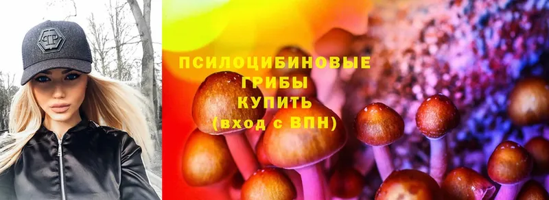 Псилоцибиновые грибы MAGIC MUSHROOMS  Данков 